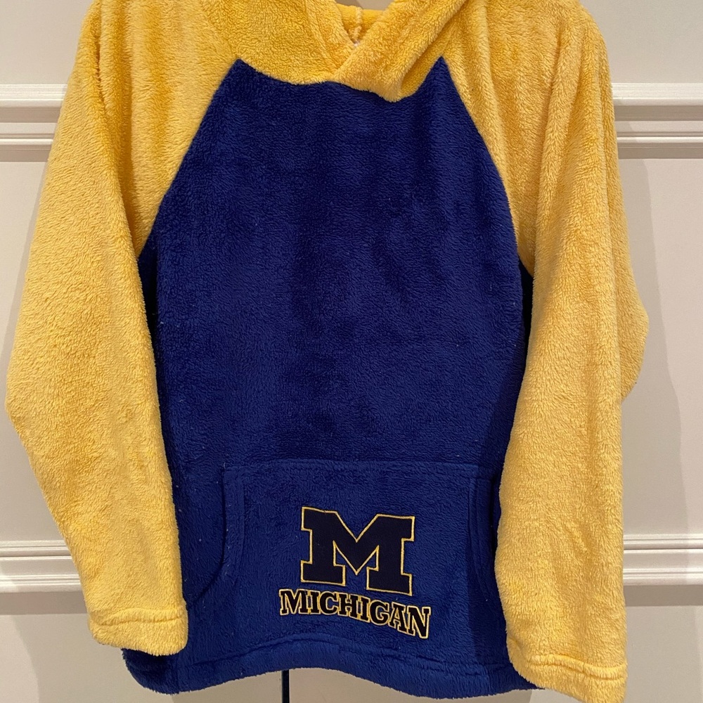 Michigan Hoodie